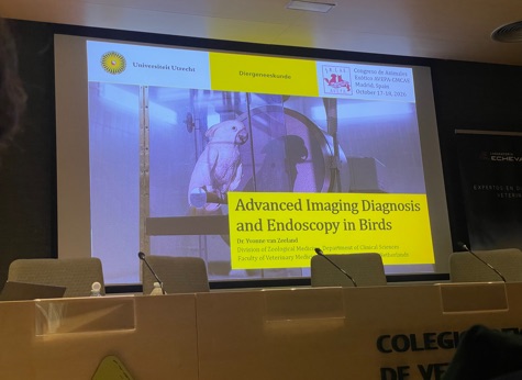 Pantalla con la portada de la sesión de Yvonne van Zeeland sobre imagen y endoscopia en aves, AVEPA-GMCAE Madrid 2026.